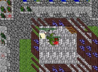 dragonek