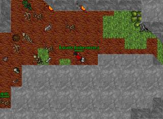 DragonSolo11Lvl