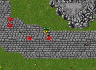NG killing 12408