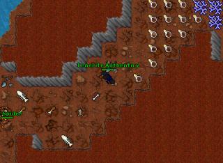 crusaderquest
