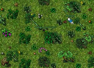 Dwimeron de'Qel · 10 Aug 2005