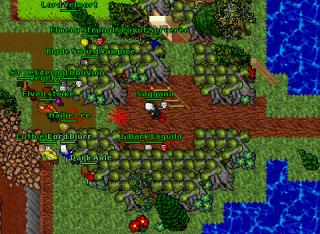 DvsD war04