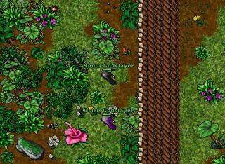 RP+EK Forb land