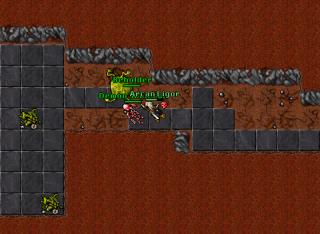 Arcan Ligor · Tibia 8.20