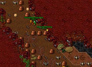 max serps goroma lag at 21-31 33-03