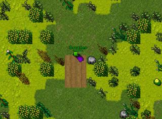 Drotter · 31 Dec 2005