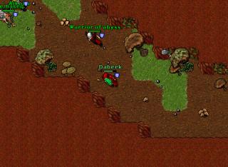 Forbidden Islands 11521