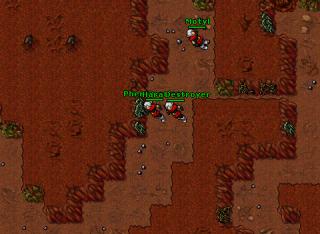 desert 15476
