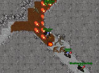 Plikzor · Tibia 8.40