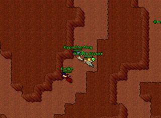 PKingDesertQ