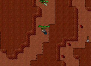 ddquest