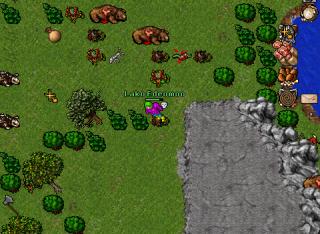 Lako Edeomoo · Tibia 7.72