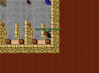 Noxther The Druid · 10 Oct 2006