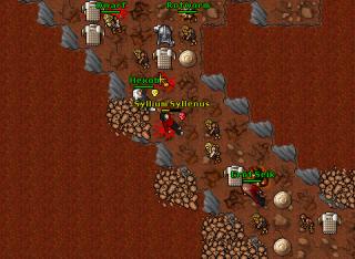 [7.6]Syllium PK