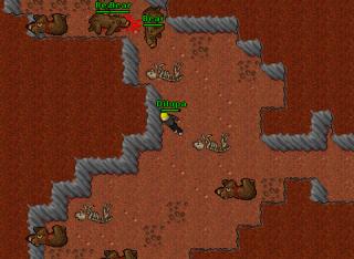 Copper Shield