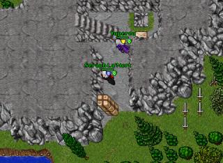 dragonroxors 11920