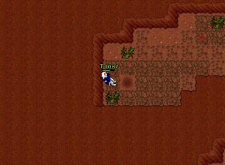 trap setup