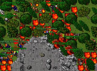 ORSHA BUG