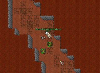 Zeus Rozpierdalacz · Tibia 7.30