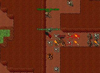 Hunt Orc Fort