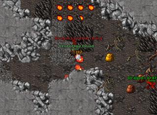 Terrorlipe Druid · Tibia 8.40