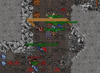 Shinare · Tibia 8.50