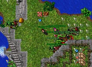 Hunt Hydra Night