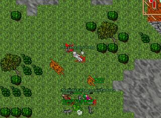 killingafk2