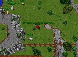sheep pig 2