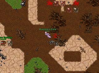 bonebeaststststs 11429