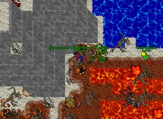 TimDragonLordSolo