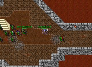 Nobztrakt · Tibia 8.20
