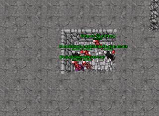 MSpking 12625