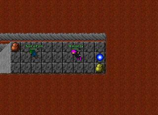 knoely hell 7.4