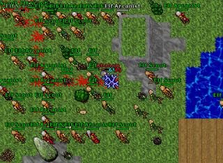 Elf Raid