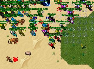 Dolkia · Tibia 8.20