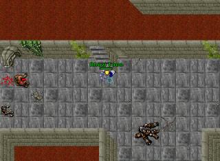 Rhazi Toon · Tibia 8.41