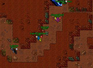 Datler · Tibia 8.11