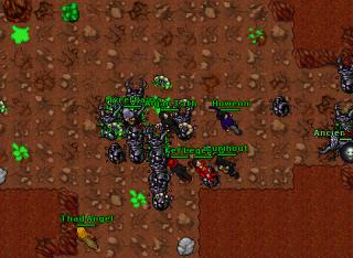 2nds TrionDruid