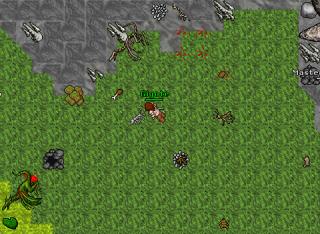 Dl Solo 33sorc