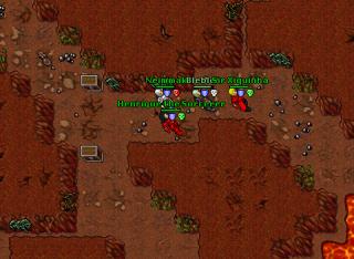 Henrique the Sorcerer · Tibia 8.41