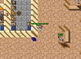 Ankrahmun fight