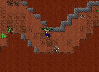 dlhunt3