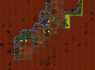 Deaded 23341