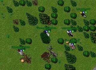 Guild hunt 20269