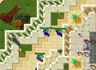 Nargoriel · Tibia 8.41