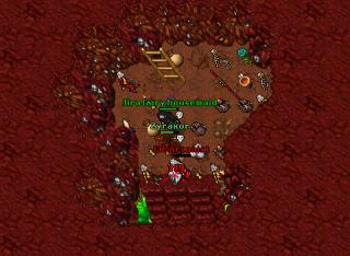 Jira Gary housemaid · Tibia 8.41
