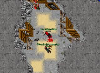 aenima pirates 12577
