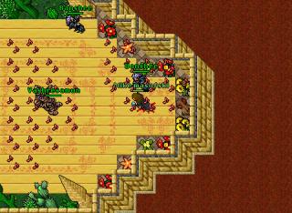 small tomb hunt