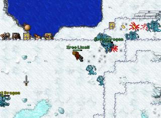 Xree Lixall · Tibia 8.11
